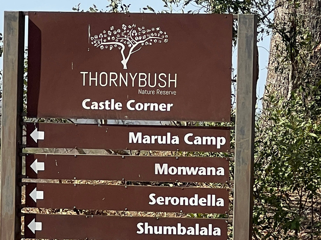 Shimungwe Lodge主图