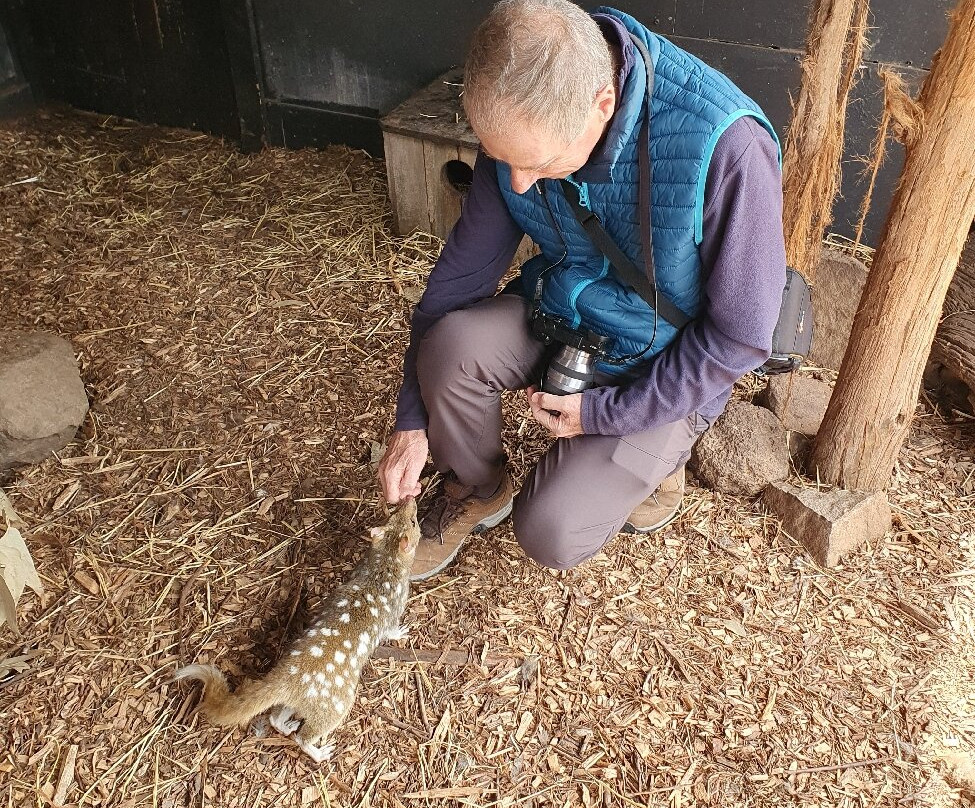 Pepper Bush Adventures - Day Tours-Scottsdale必去景点