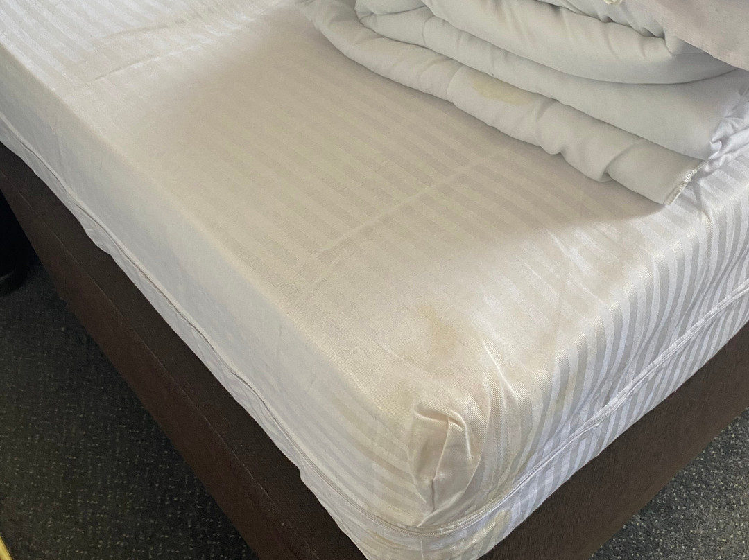 The Station Aparthotel主图