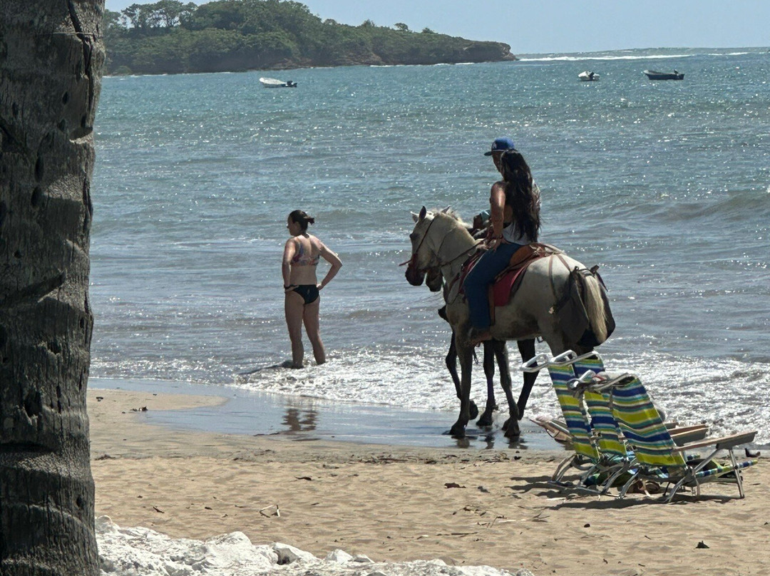 Costa Rica Dream Adventures-San Jose必去景点
