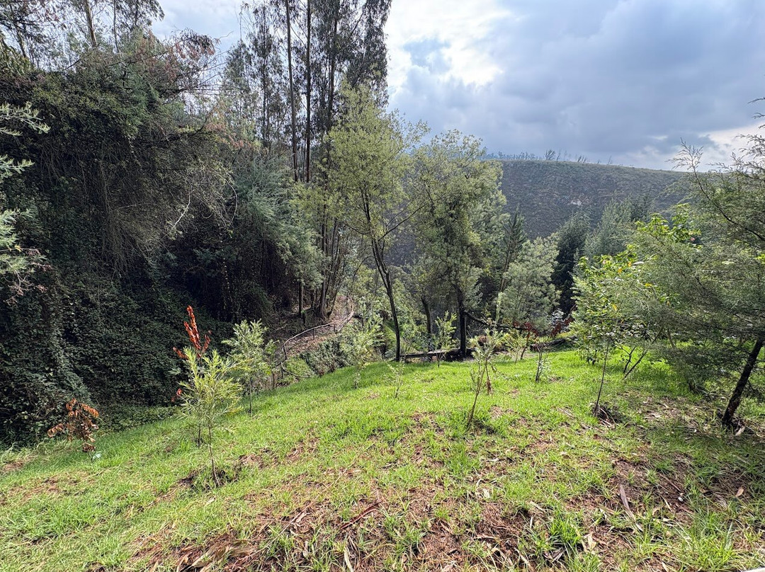 卡萨哈西安达吉曼尼塔酒店主图