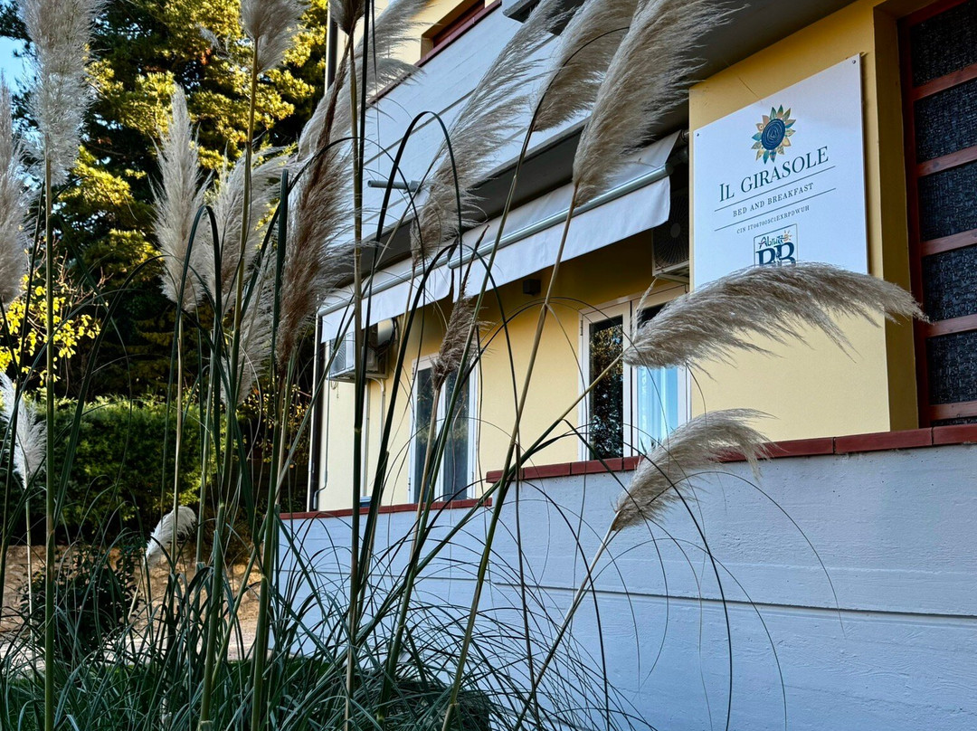 Il Girasole主图