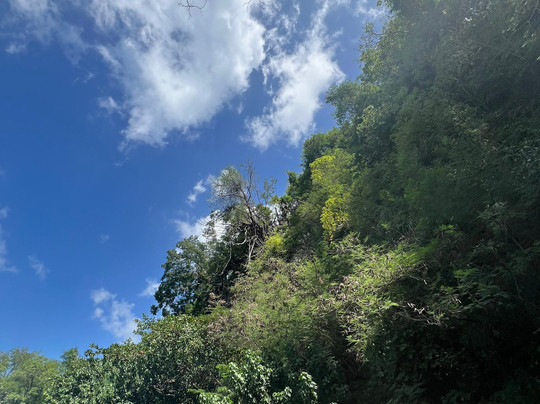 Nature Lovers Tours-Victoria必去景点