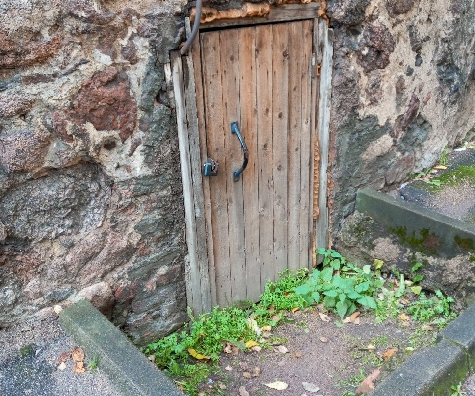 Dom Gorozhanina-维堡必去景点