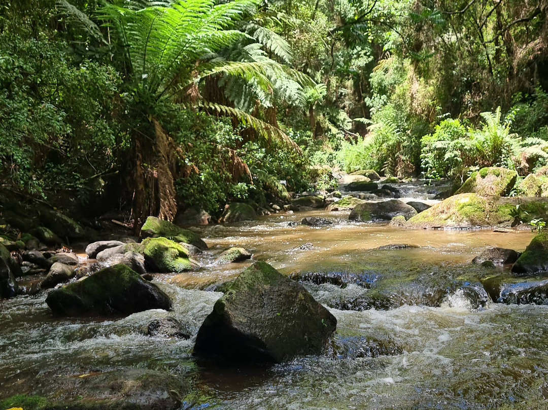 Trilha das Corredeiras do Itapuá-蒙特贝尔德必去景点
