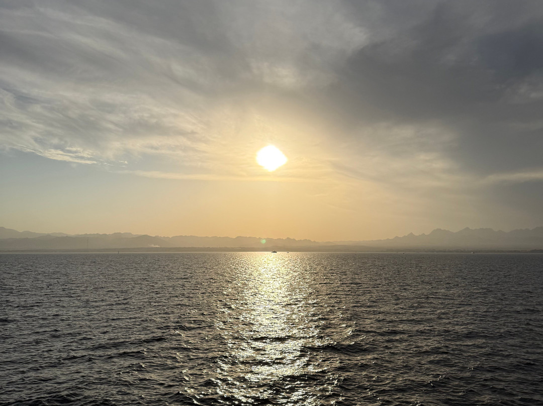 Orca Dive Club Safaga-Safaga必去景点