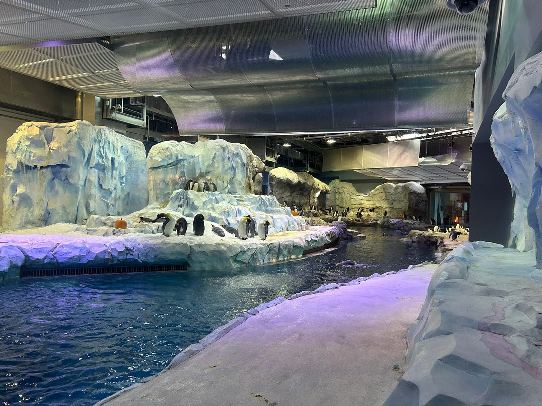 Detroit Zoo-罗亚尔奥克必去景点