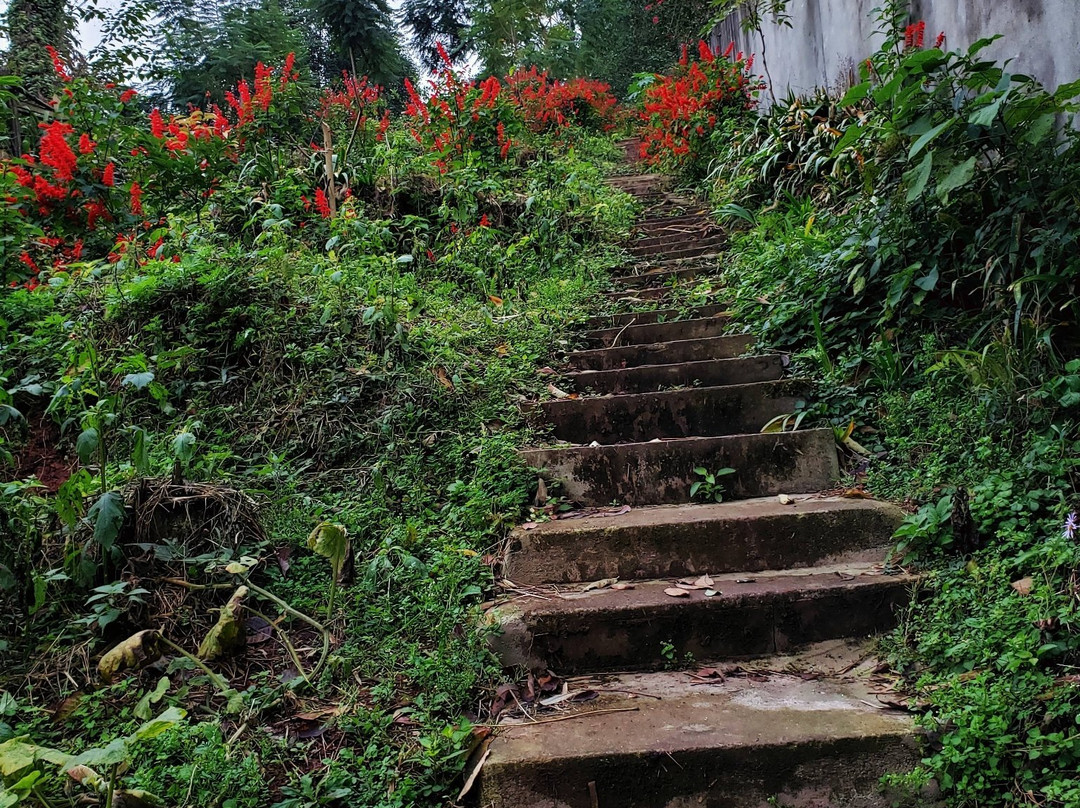 百工堰公园-成都必去景点