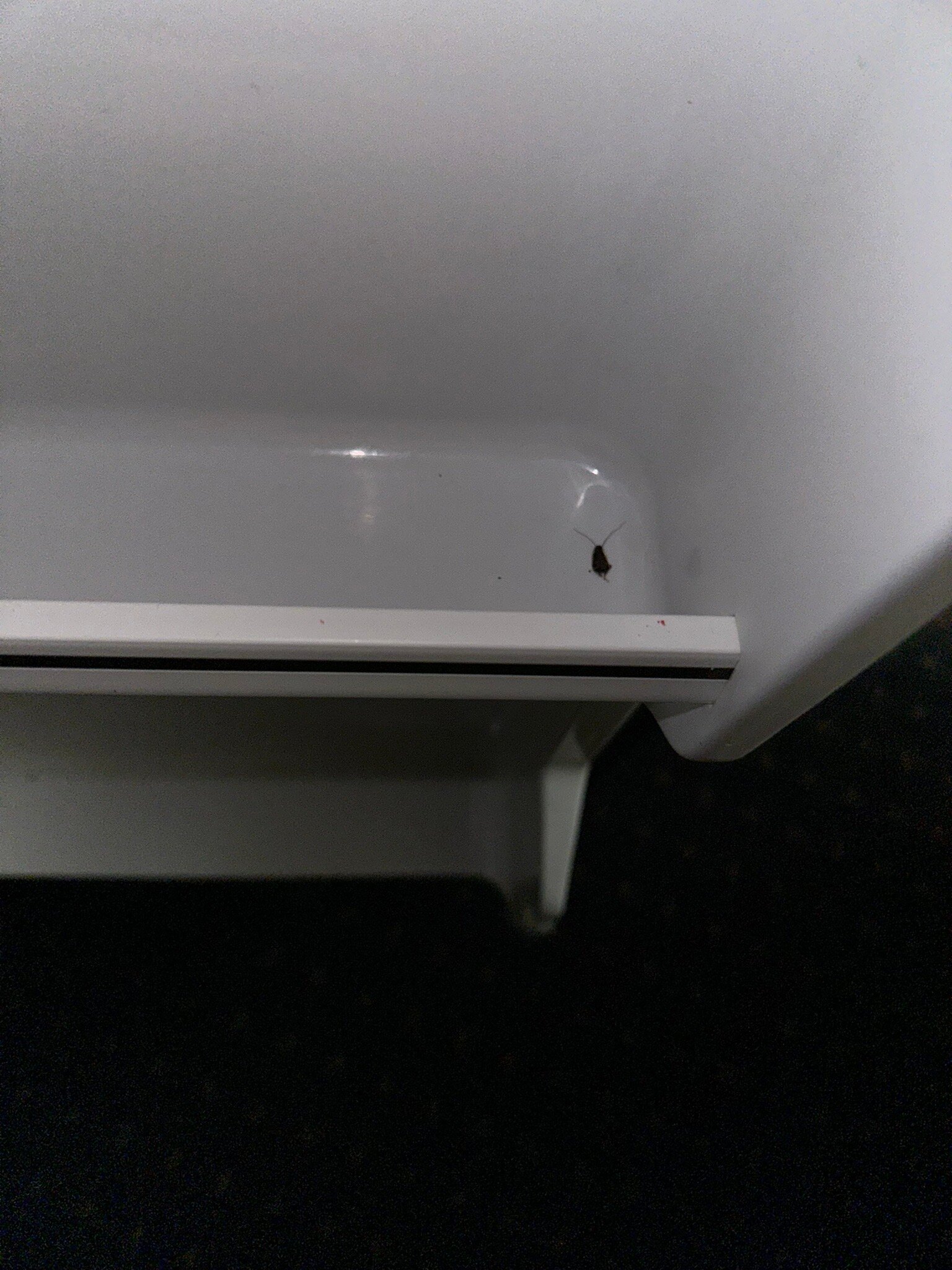 Comfort Inn Chester - Richmond South-官方