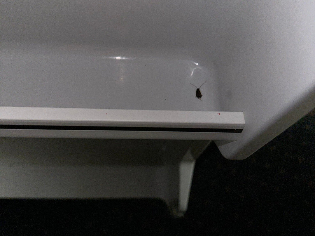 Comfort Inn Chester - Richmond South主图