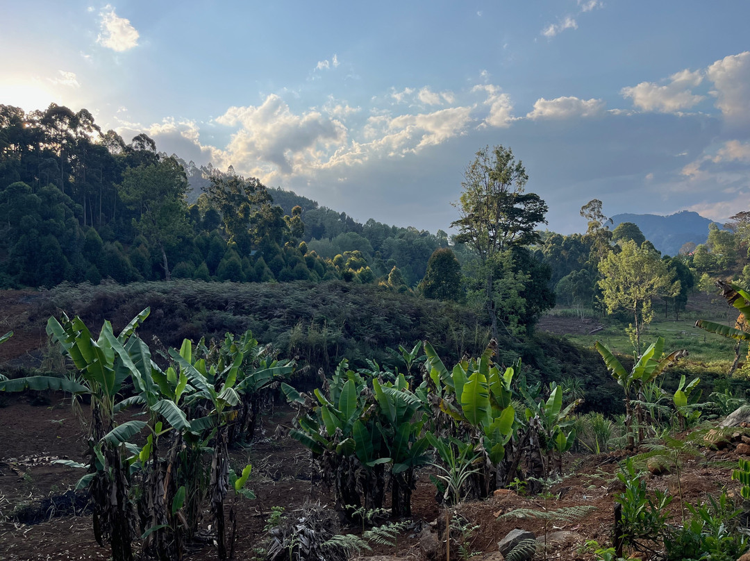 Tanzanian Velo Adventures (TVA)-莫西必去景点