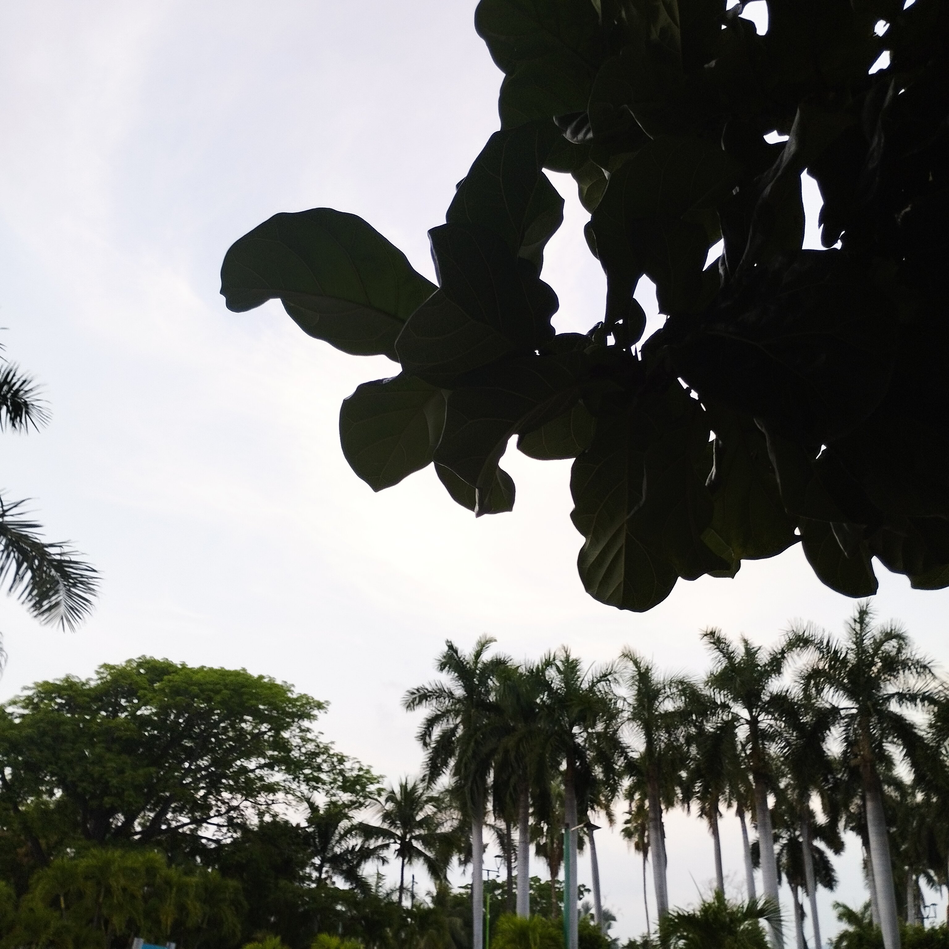 伊斯塔帕太阳景观多拉多太平洋全包水疗度假村-浴室