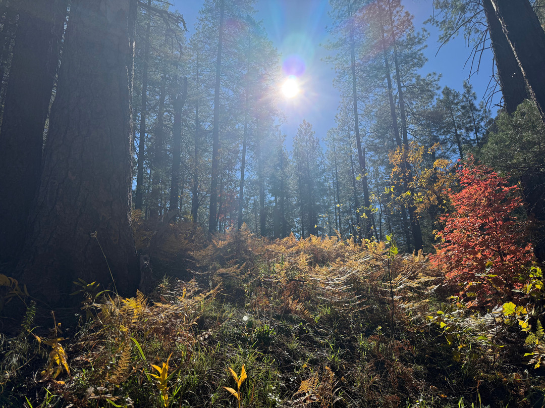 West Fork Oak Creek Trailhead-塞多纳必去景点
