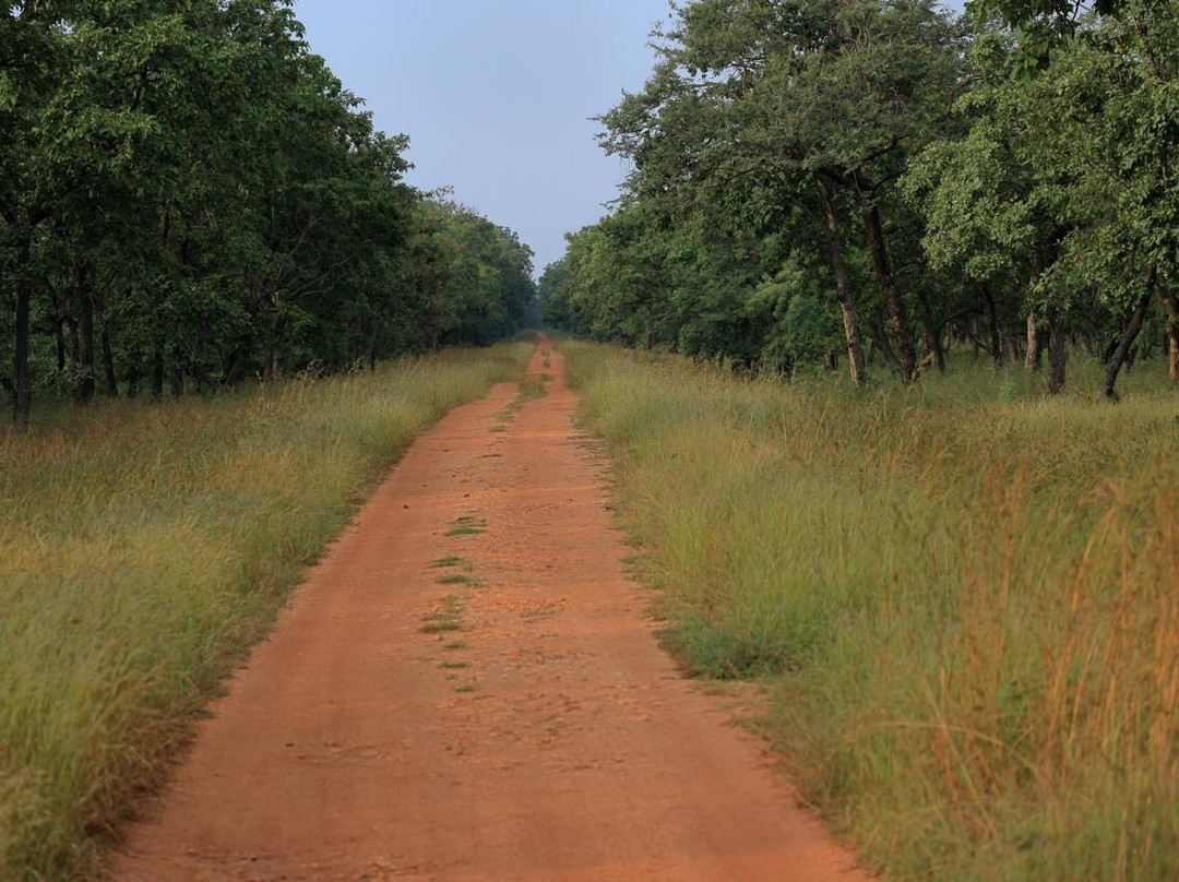 Tadoba Andhari National Park-Chandrapur District必去景点