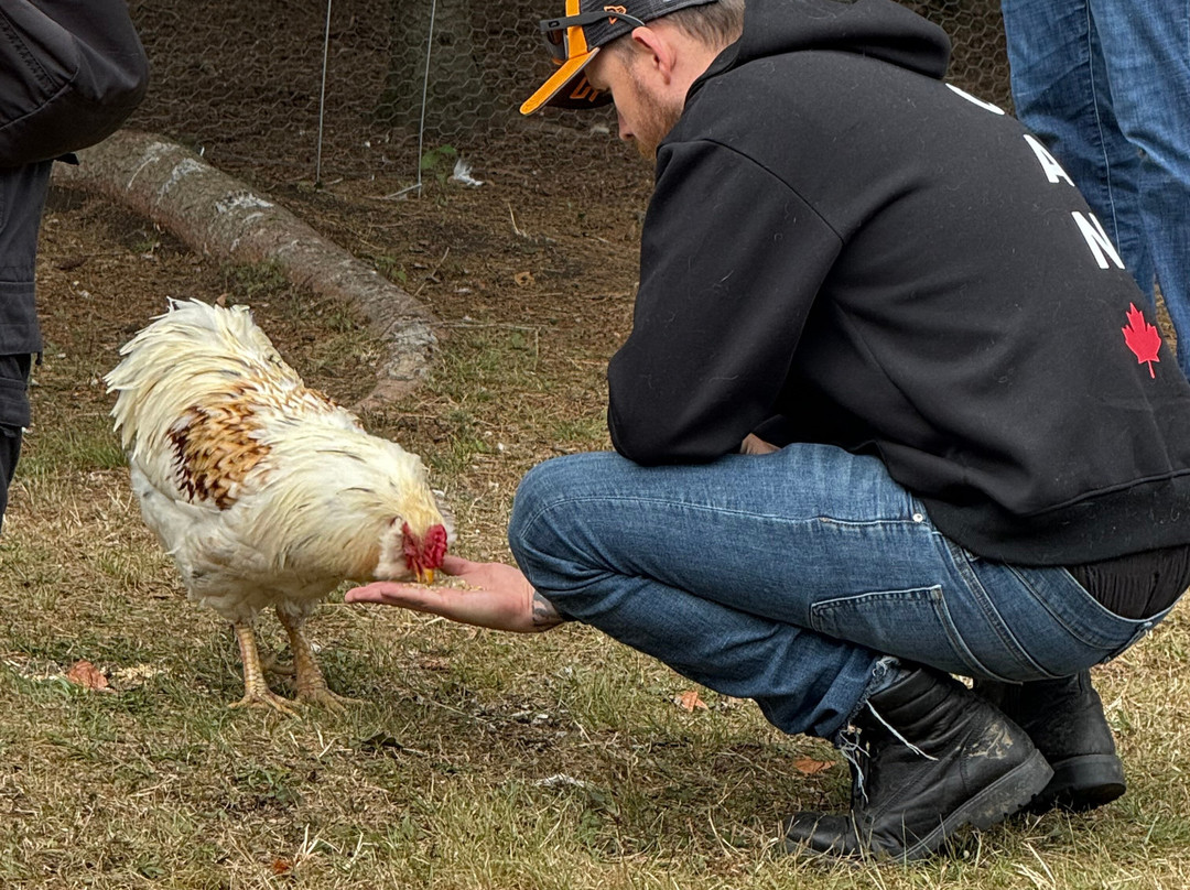 Secondhand Stories-Lombardy必去景点