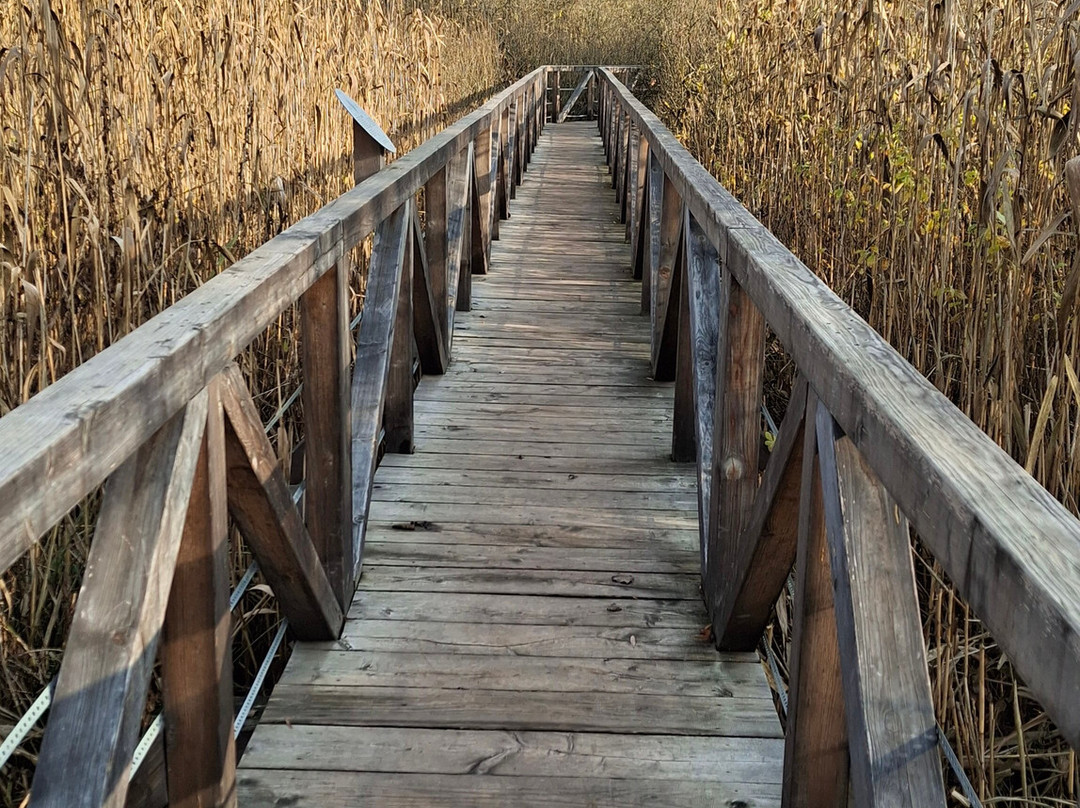 Teknős Tanösvény Dunakeszi-Dunakeszi必去景点