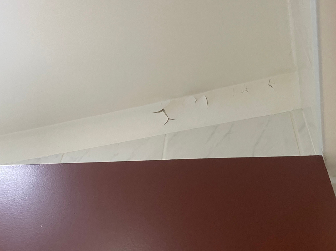 Hôtel Noemys - Néris主图