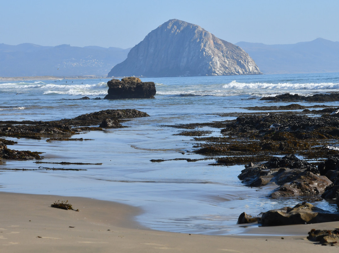 卡尤寇斯海滩酒店主图