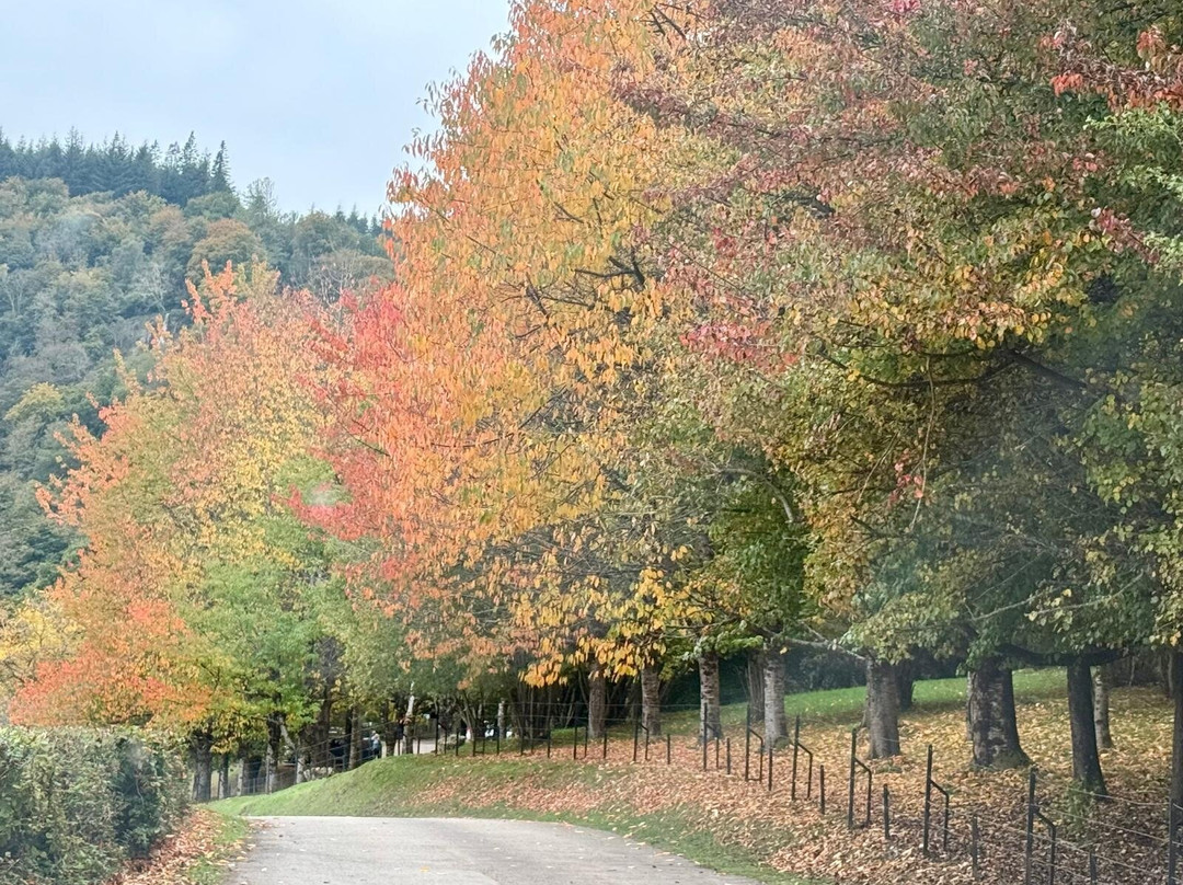 Canonteign Falls-Christow必去景点