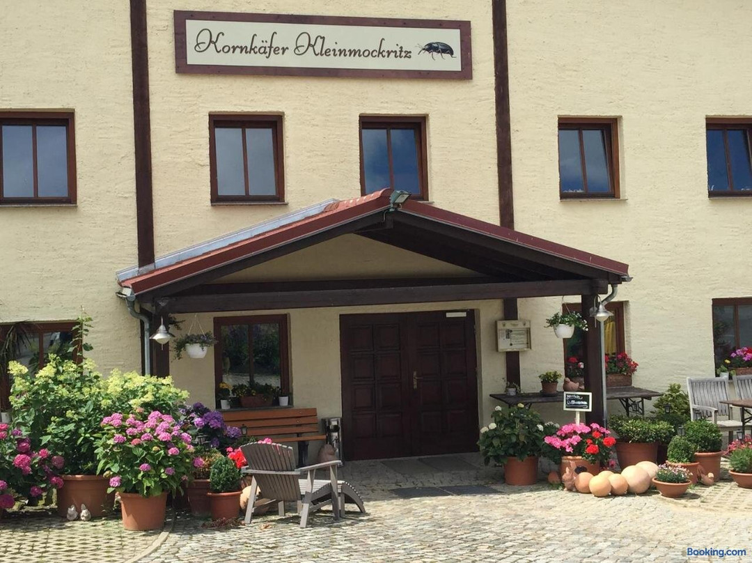 Kornkaefer Kleinmockritz主图