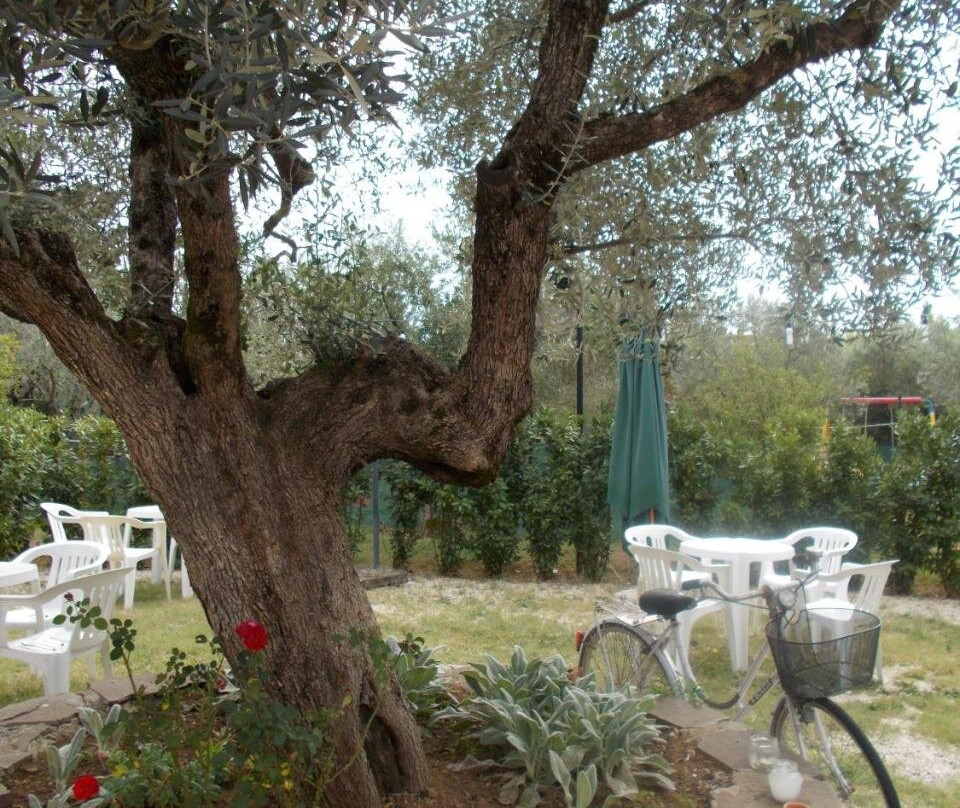 Parco Degli Ulivi主图