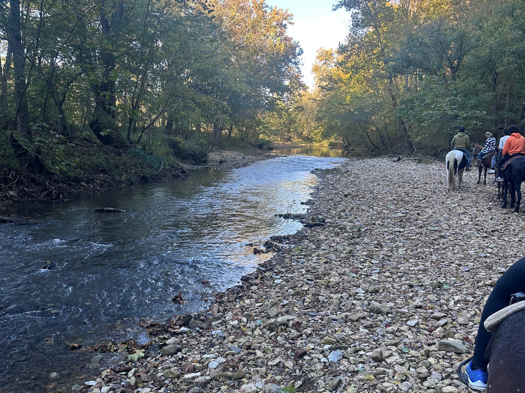 Natchez Trace Stables-Primm Springs必去景点