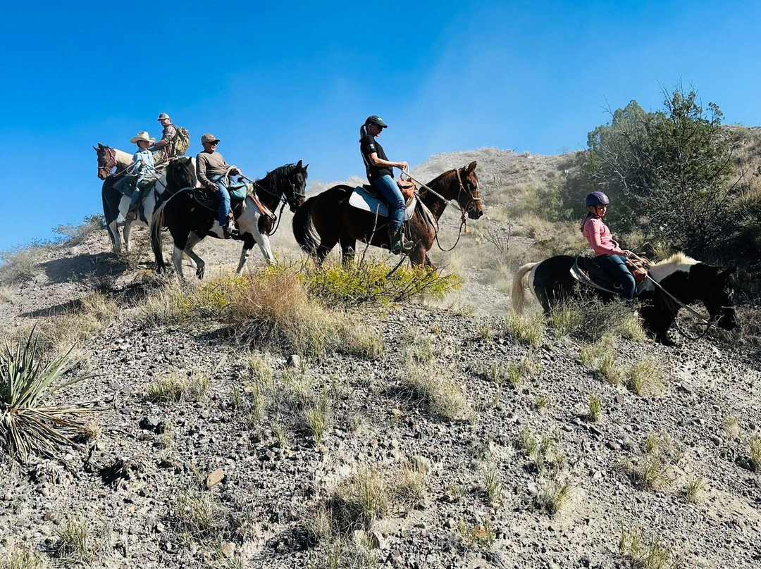 Acacia Riding Adventures-San Acacia必去景点