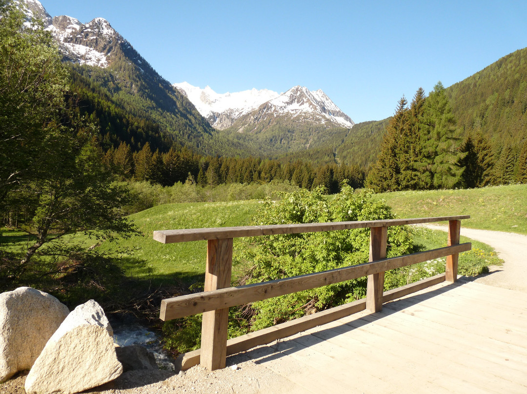 Vermiglio酒店住宿-Hotel Baita Velon