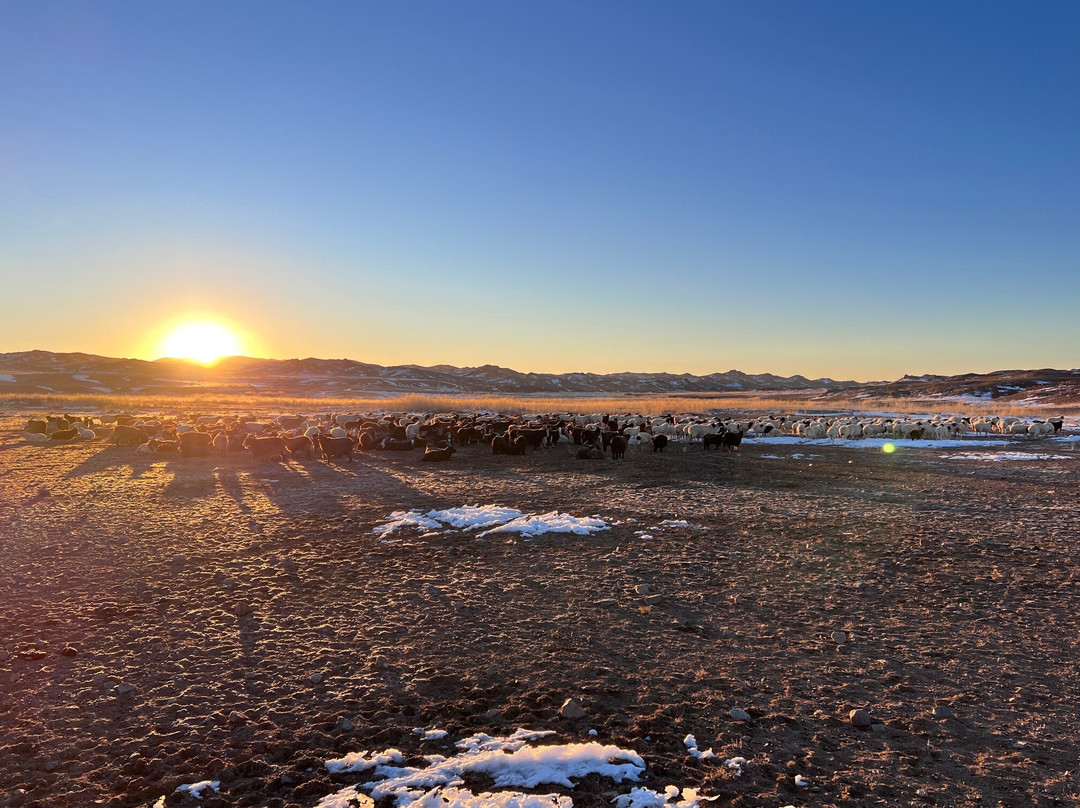 内蒙古私人一日游-乌兰巴托必去景点