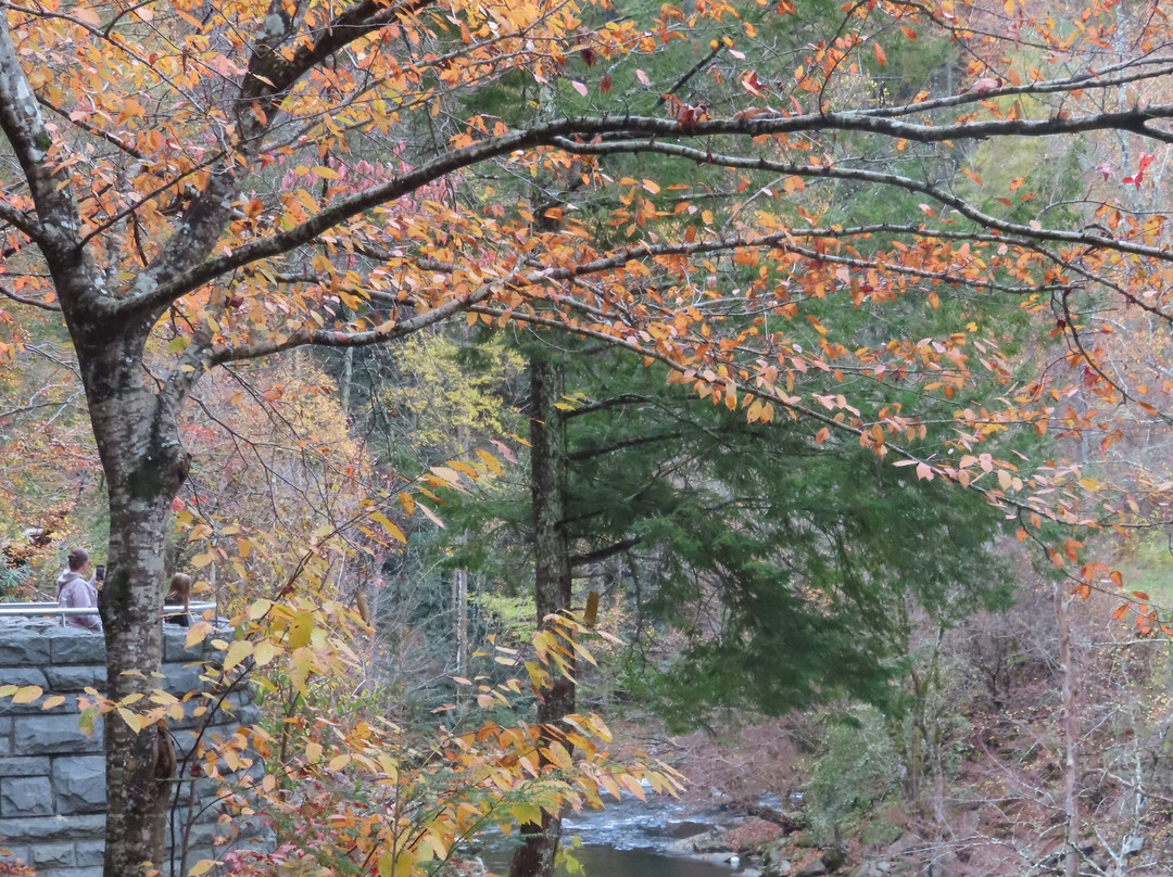 The Sinks-大雾山国家公园必去景点