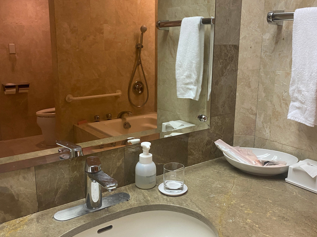 东京湾大仓酒店主图