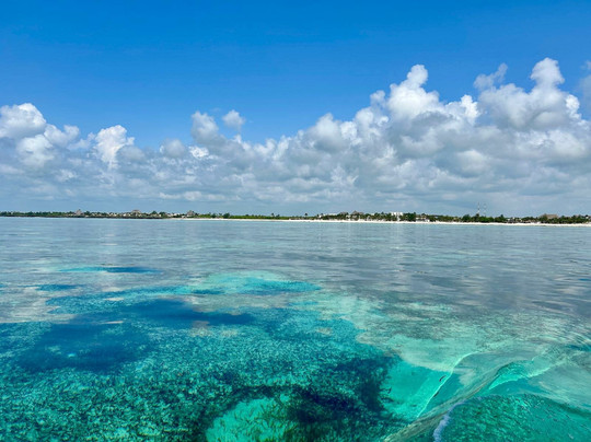 Giacomo Salento Safari Kenya-瓦塔木必去景点