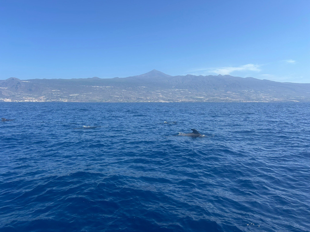 Maritima Acantilados-洛斯·吉甘特斯必去景点