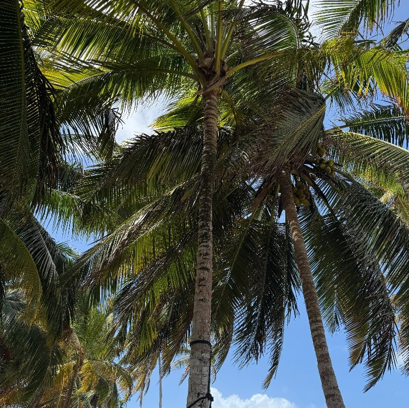 Sea San Blas | San Blas Tours-巴拿马城必去景点