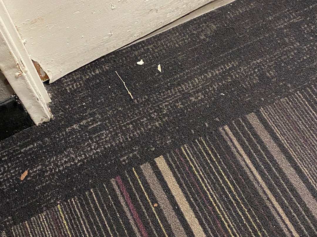 迈阿密机场北拉昆塔温德姆酒店主图