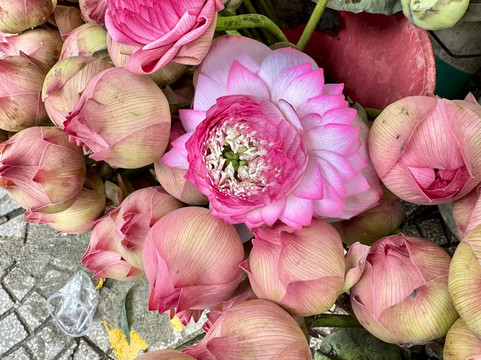 Wise Travel-岘港必去景点