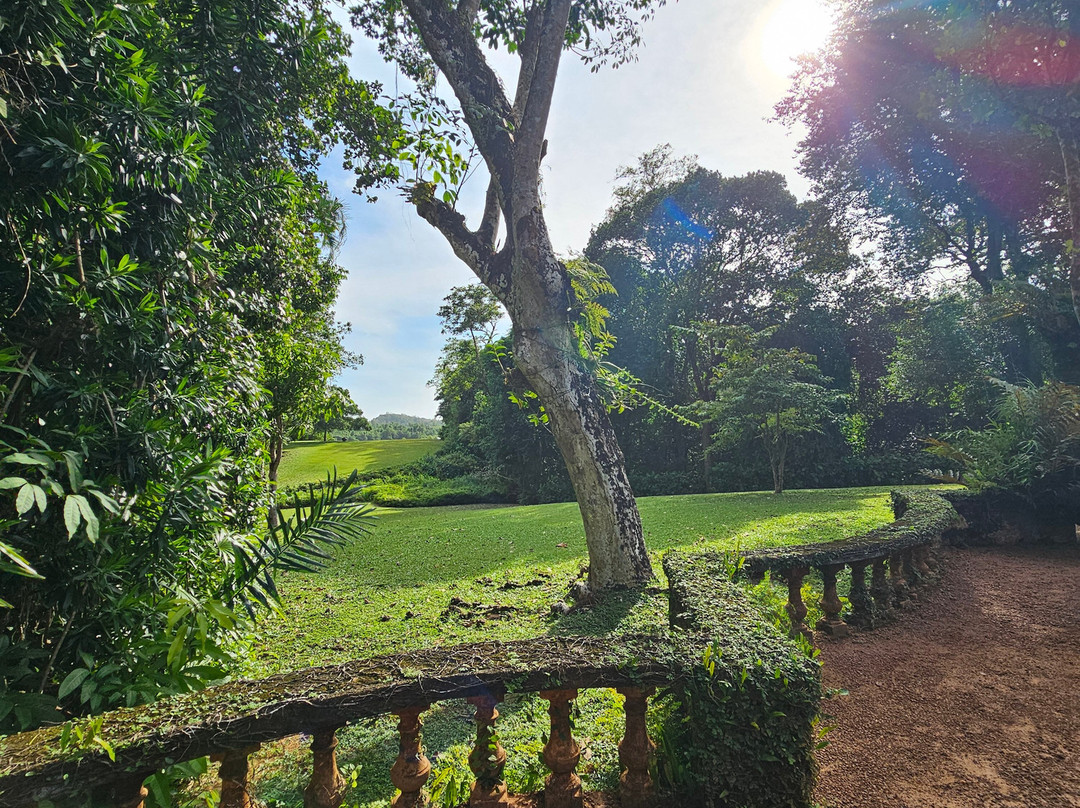 Come Visit Sri Lanka-康提必去景点