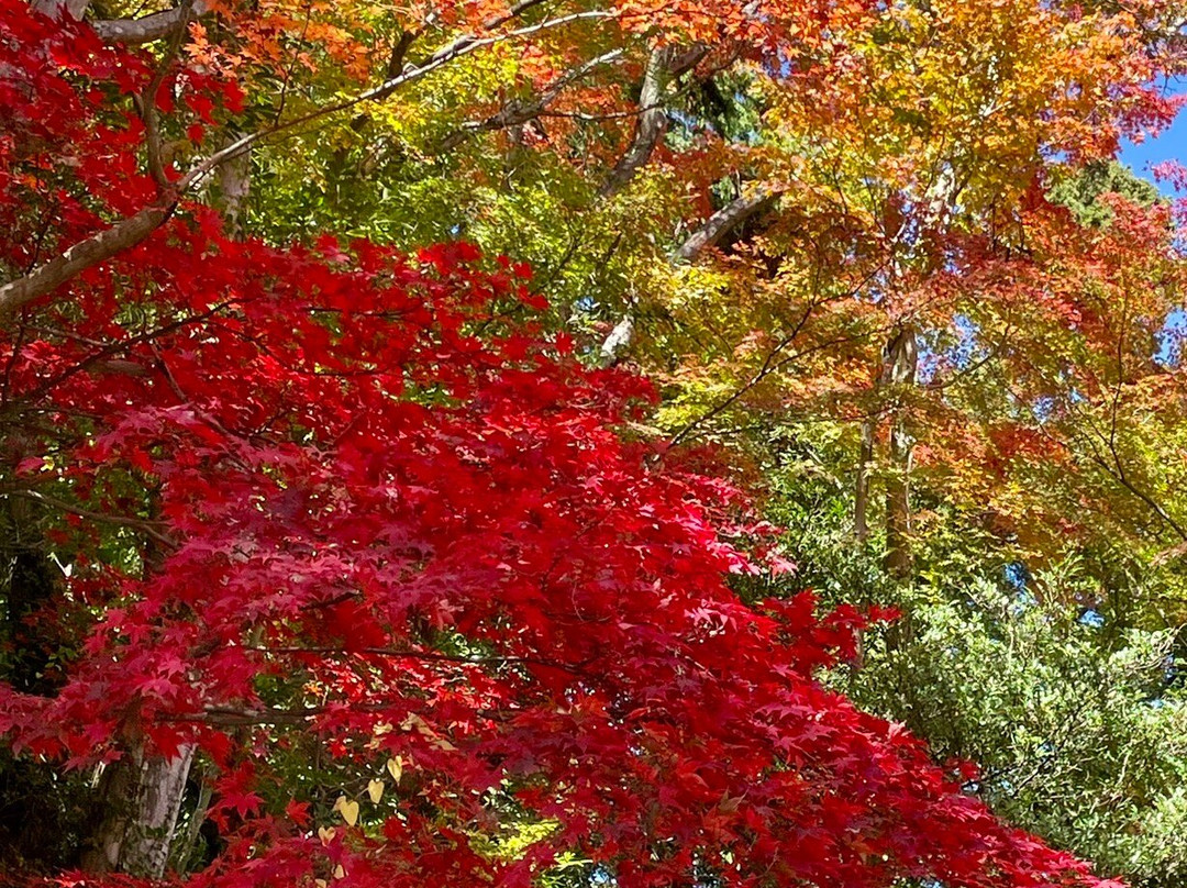 Takaosan Yakuo-in Yuki-ji Temple-八王子市必去景点