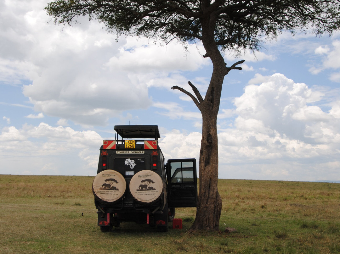 Morningstar Tours and Travel-Syokimau必去景点