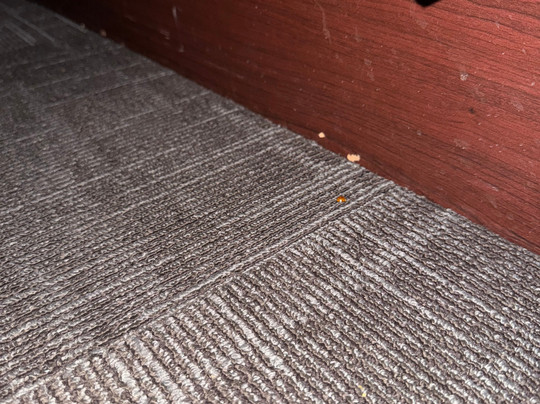 Akwesasne Mohawk Casino Resort主图