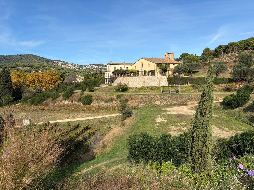 Bouquet d'Alella-Alella必去景点