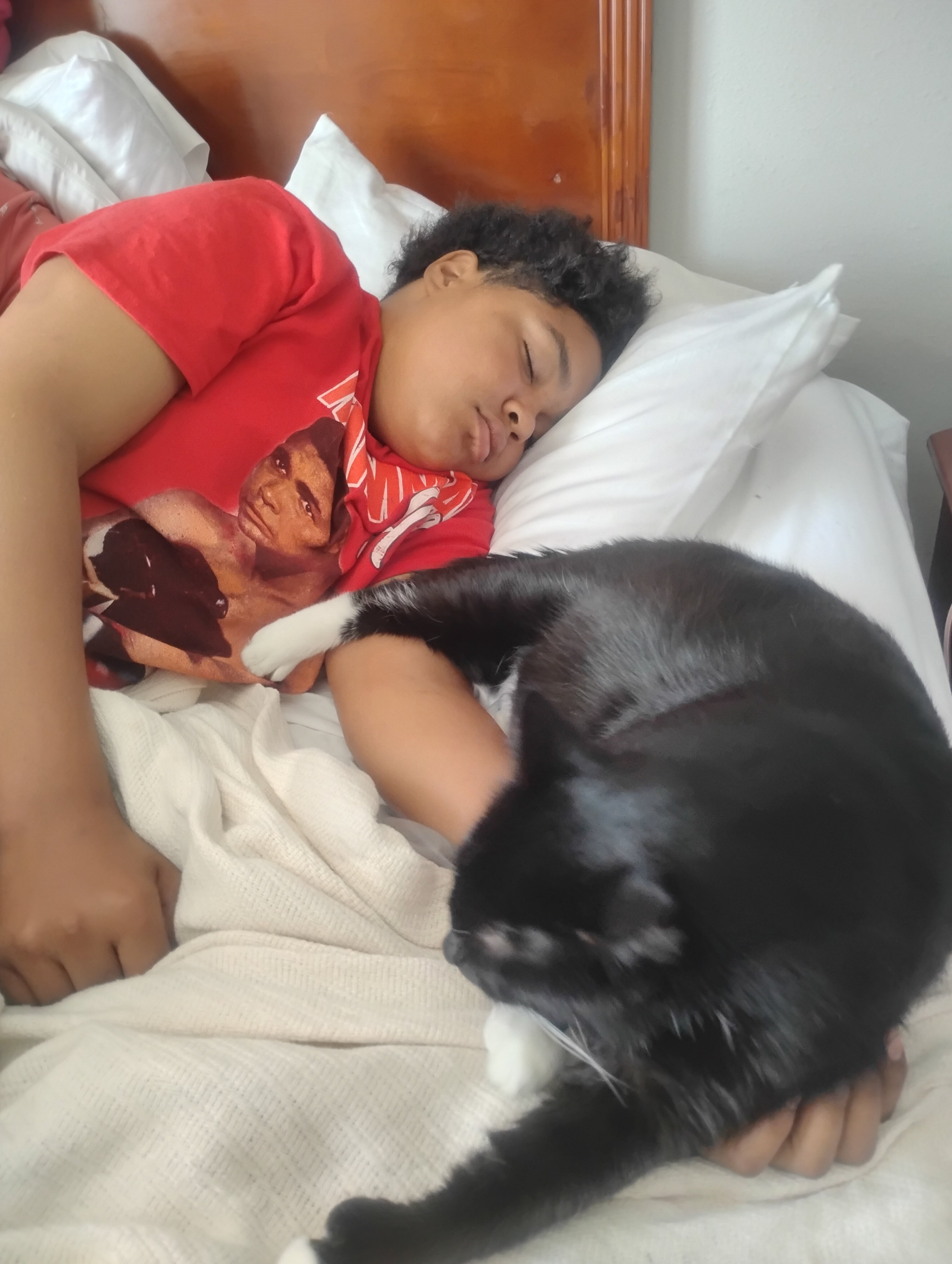 Comfort Inn & Suites Cambridge-客卧