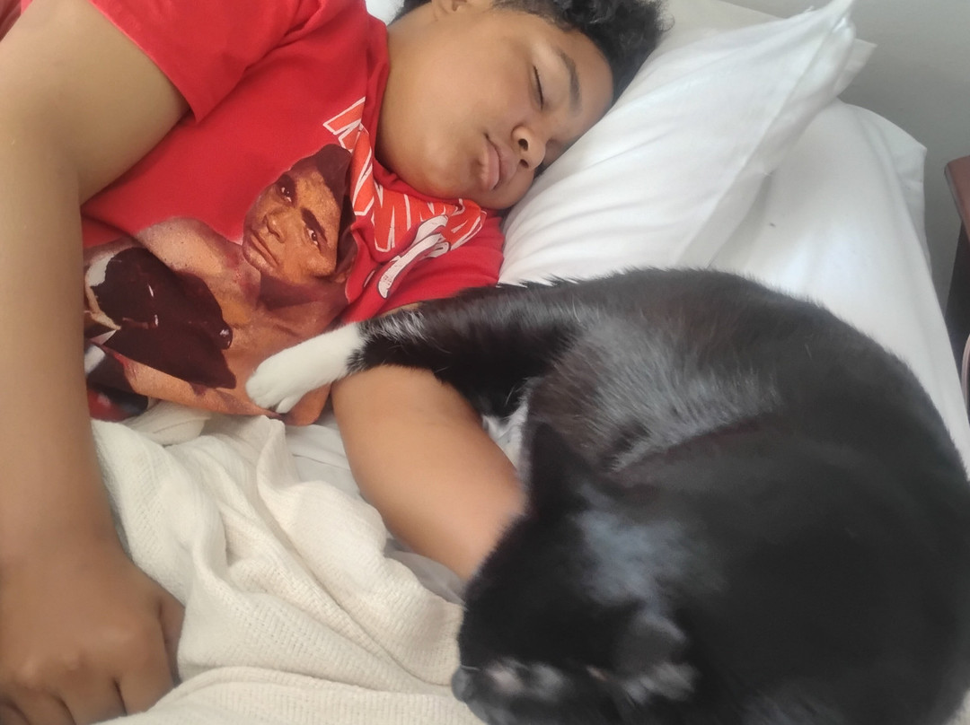 Comfort Inn & Suites Cambridge主图