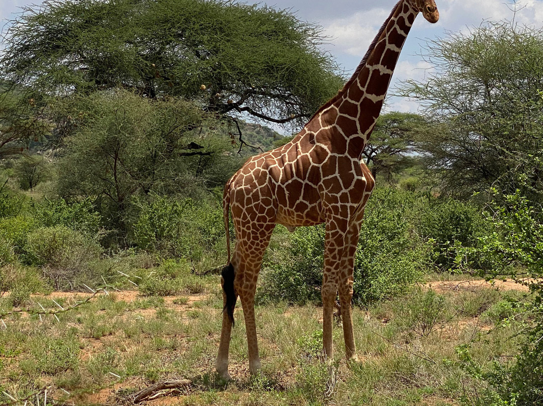 Aqua Paradise Safaris Day Tours-乌库达必去景点