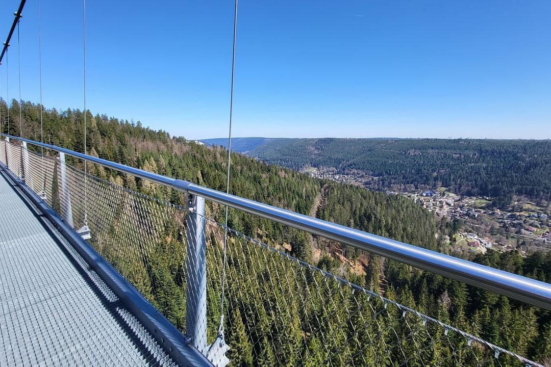 WildLine Hängebrücke-Bad Wildbad必去景点