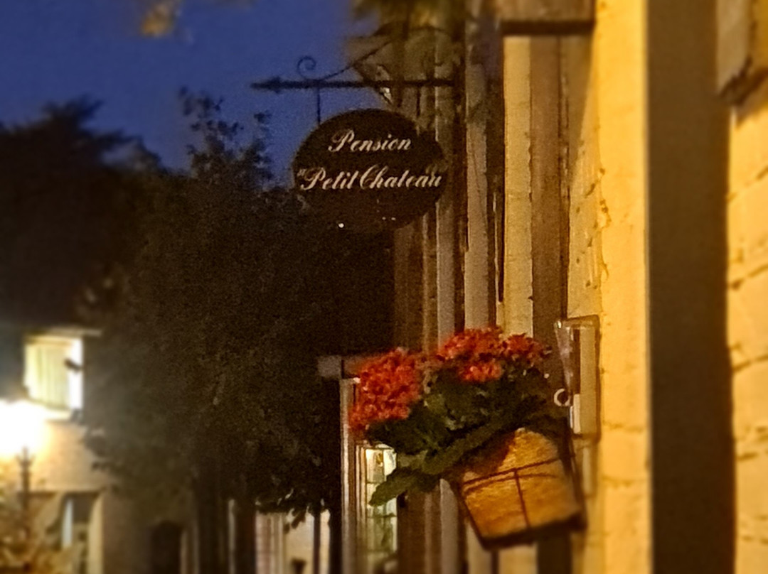 Pension Petit Chateau主图