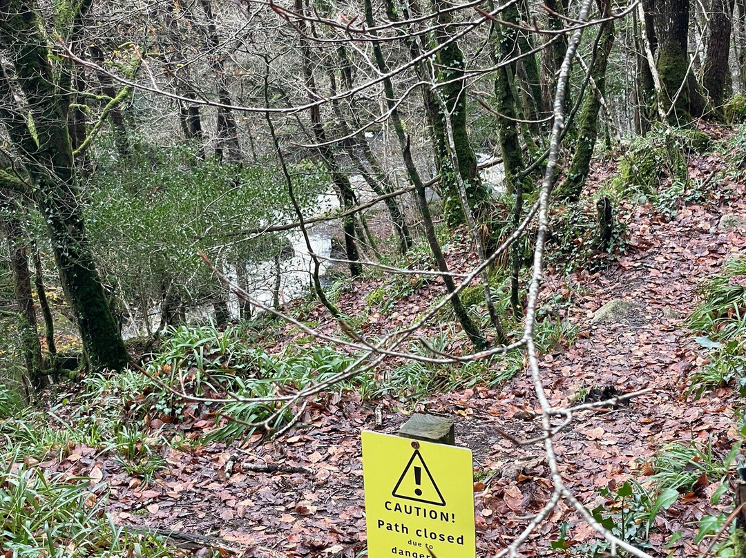 Golitha Falls-利斯卡德必去景点