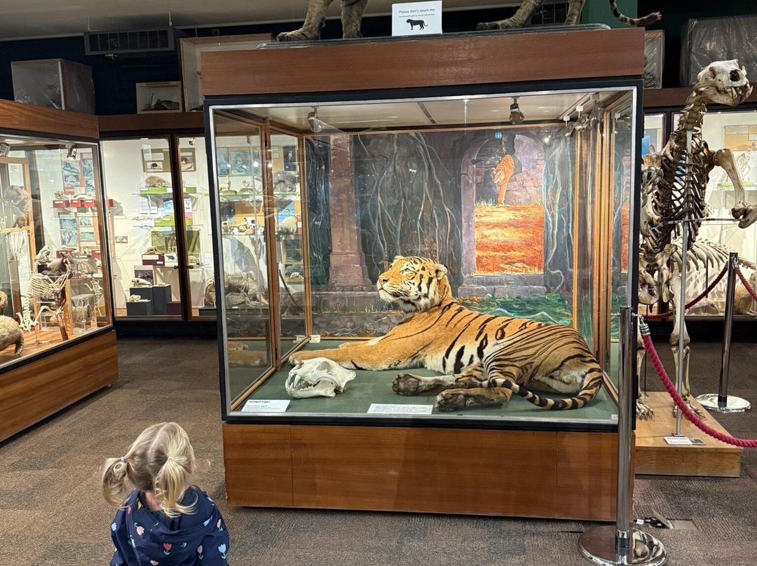 University of Aberdeen Zoology Museum-阿伯丁必去景点