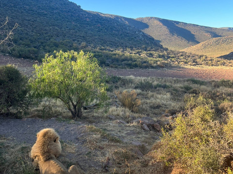 A Taste of Cape Town-斯泰伦博斯必去景点