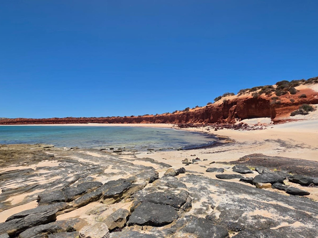 Wildsights-德纳姆必去景点